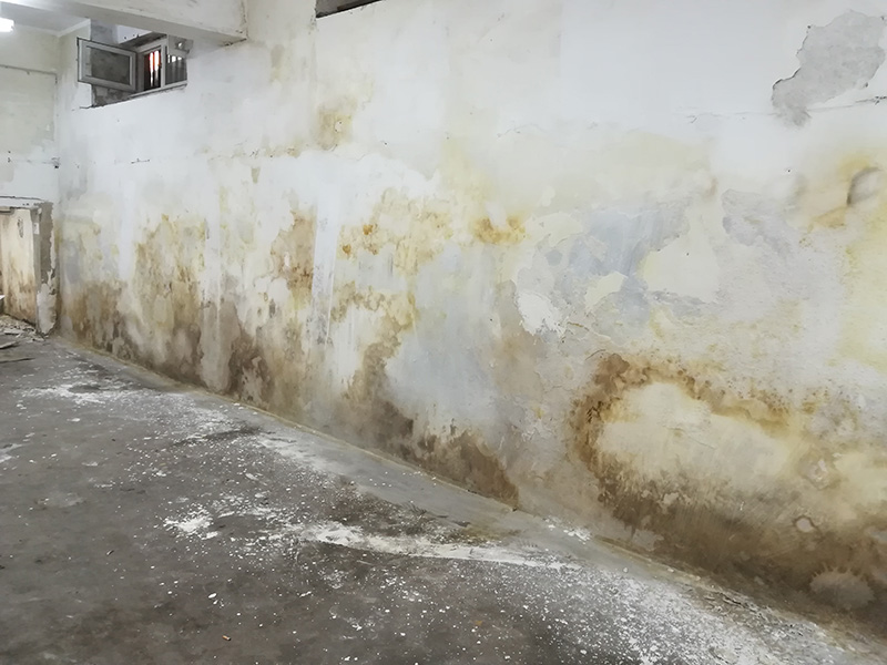 duvarda su kaçağı tespiti duvarda su kaçağı