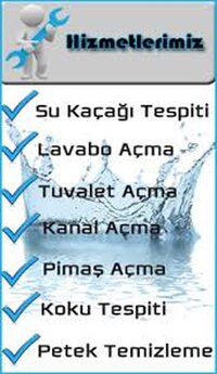sutes sutes