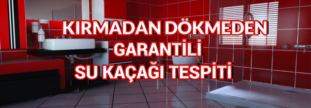 cihazla kırmadan su kaçağı tespiti cihazla kırmadan su kaçağı tespiti
